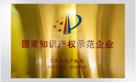国家知识产权示范企业